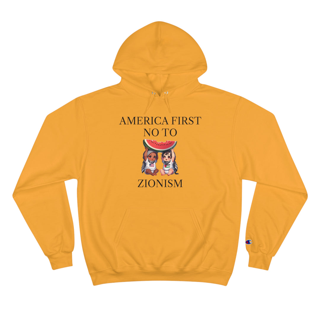 America First and Palestine Champion Unisex Hoodie